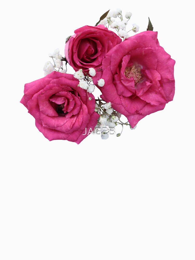 some pink roses by JAG2B