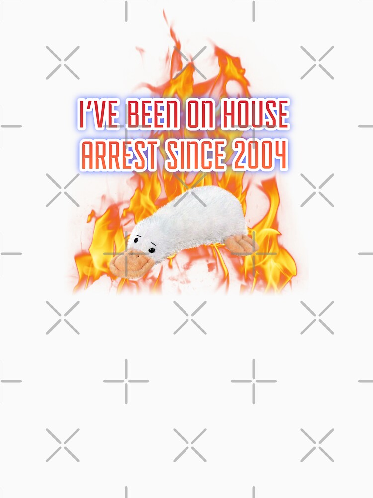 I’ve been on house arrest since ‘04 by omibenj