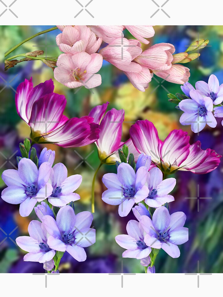Spring Blooms by Aquila Light Pictures