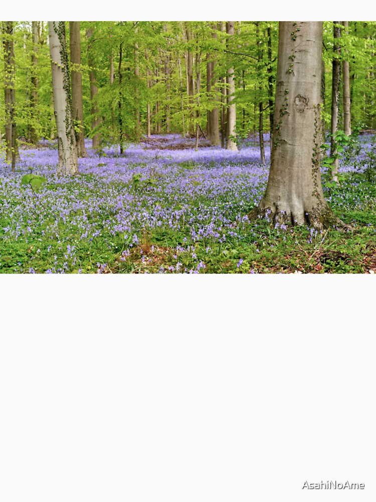 Beautiful bluebell forest by AsahiNoAme