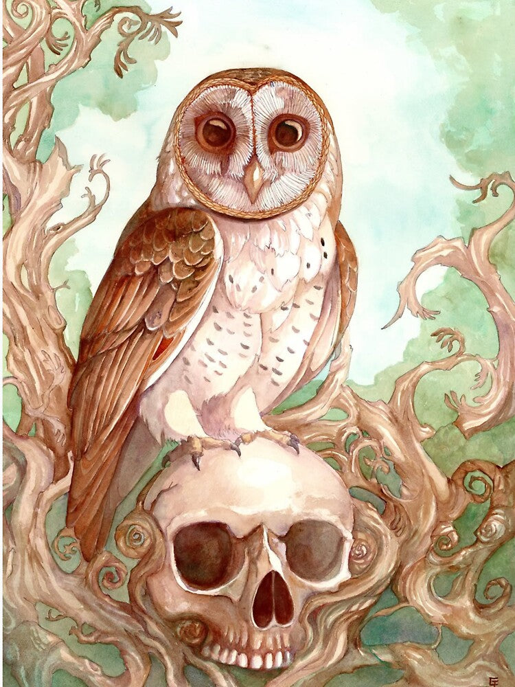 Sacred Select Vacation Properties Moon Owl by Joananature