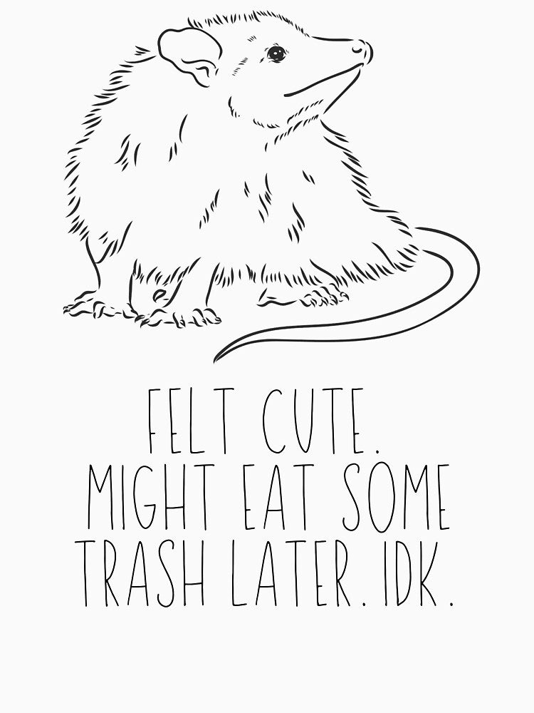 Felt Cute. Might Eat Some Trash Later. IDK. Possum by ZestyFruit