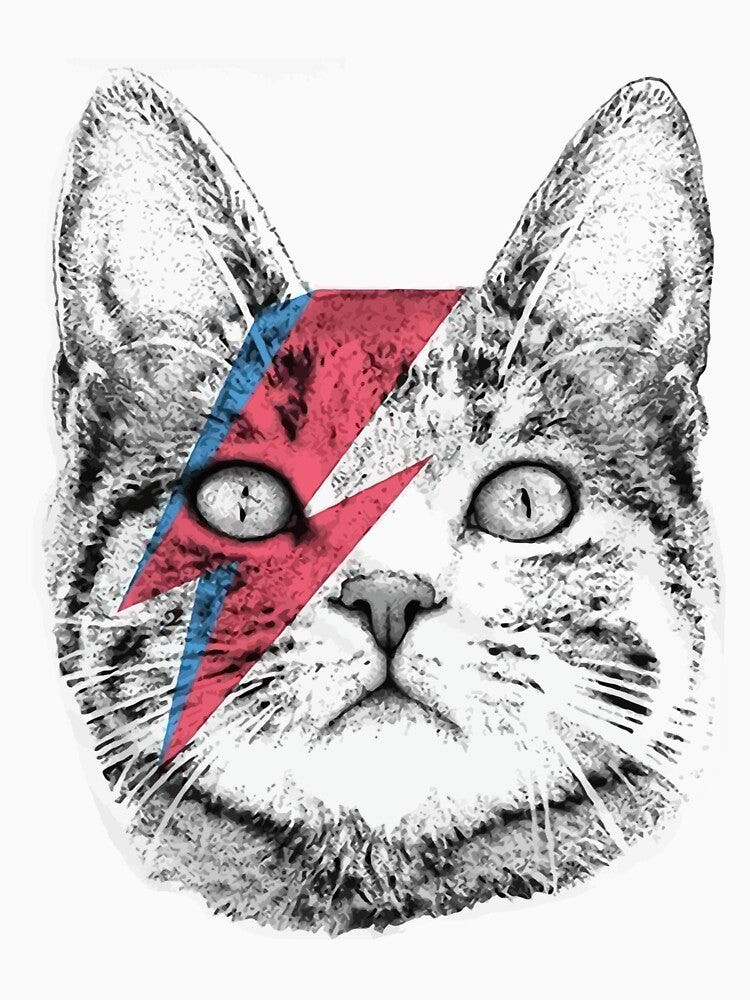 Ziggy Stardust Cat , David Bowie, Wo by VieranDnaa