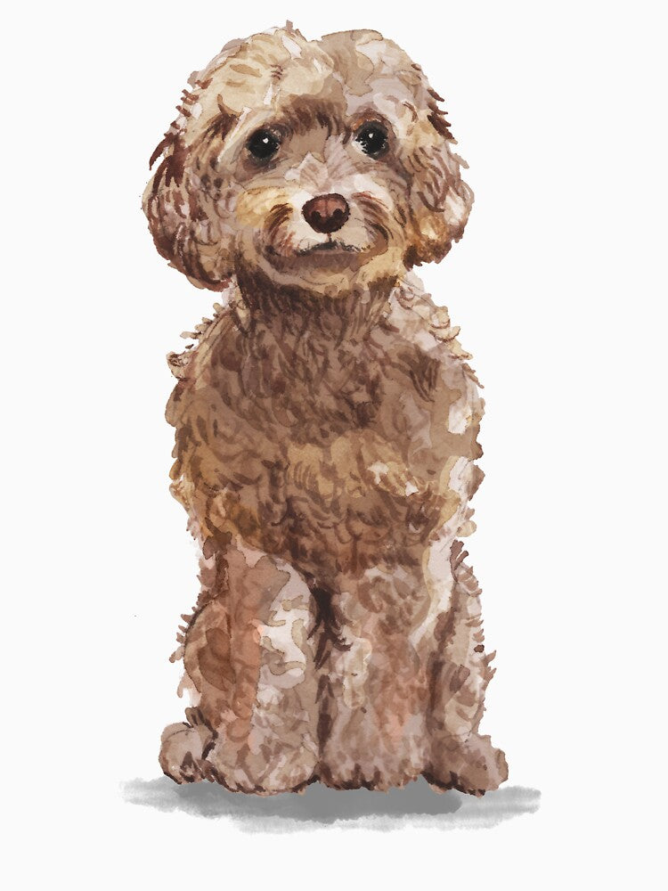 Brown Cockapoo Dog by junkydotcom