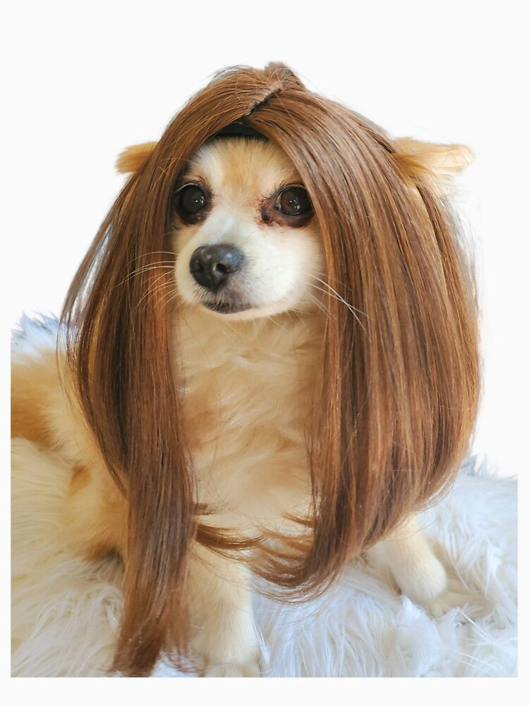 dog with wig by Thehecticstore