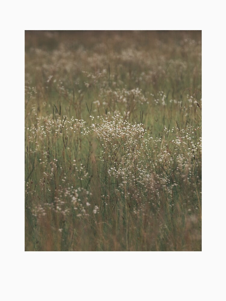 Spring by AlanJayPhotos