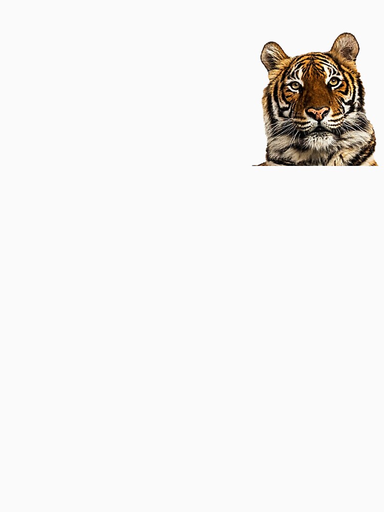 Beautiful Tiger Picture by NoxLand