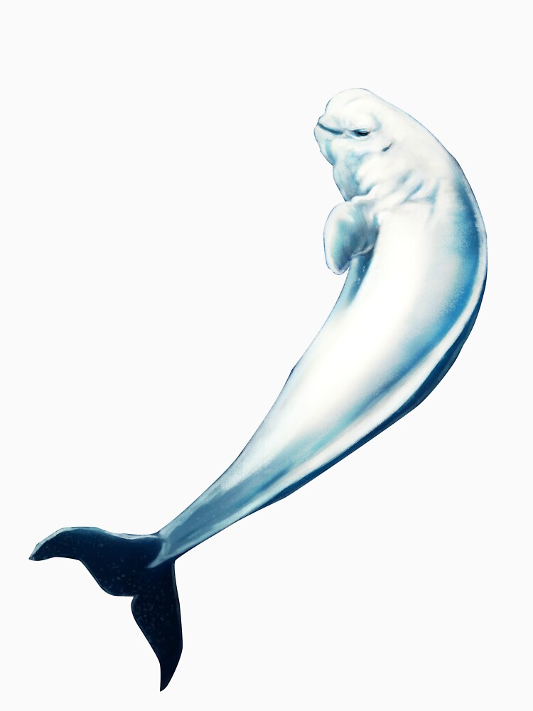 Beluga Whale (Borderless) by alandodrawing