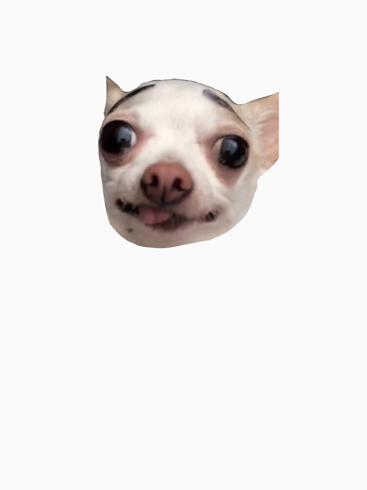 Tiktok chihuahua by aquajacky