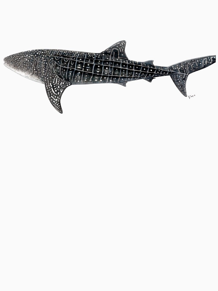 Whale shark, the largest fish on earth by NouveauUShh