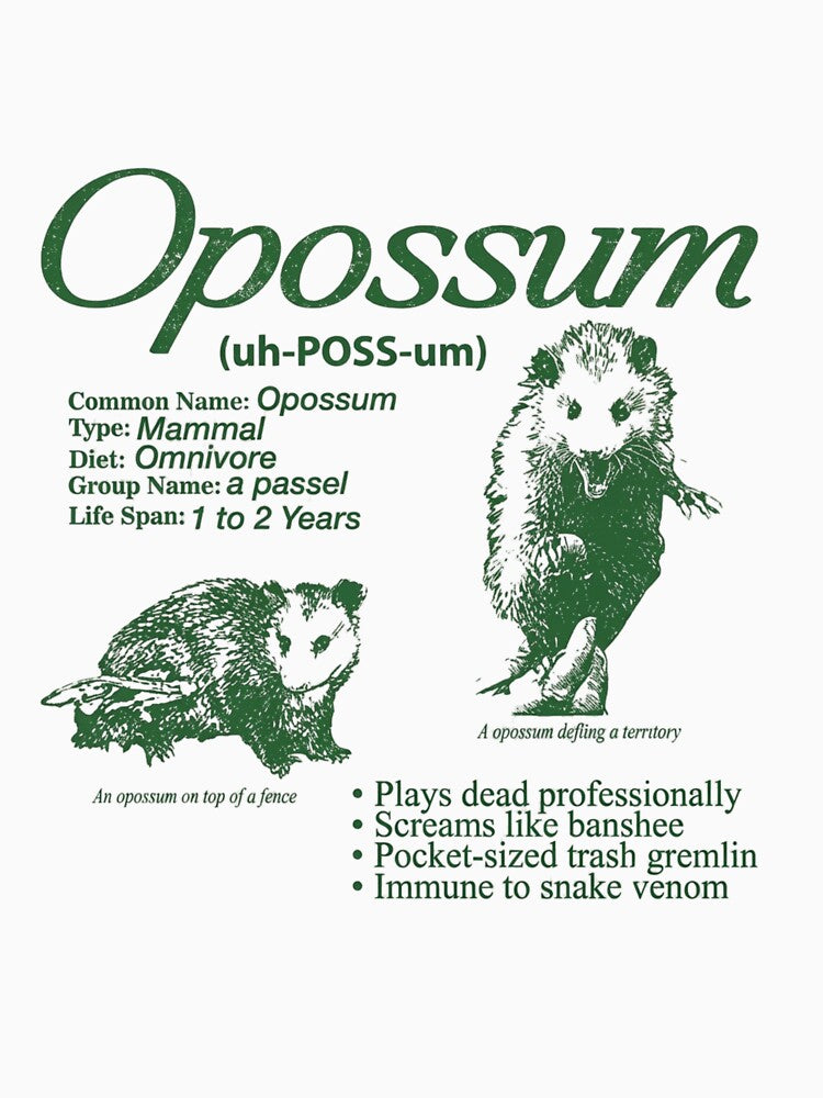Opossum Trash Gremlin Nature Fact Art by Colorful-Garden