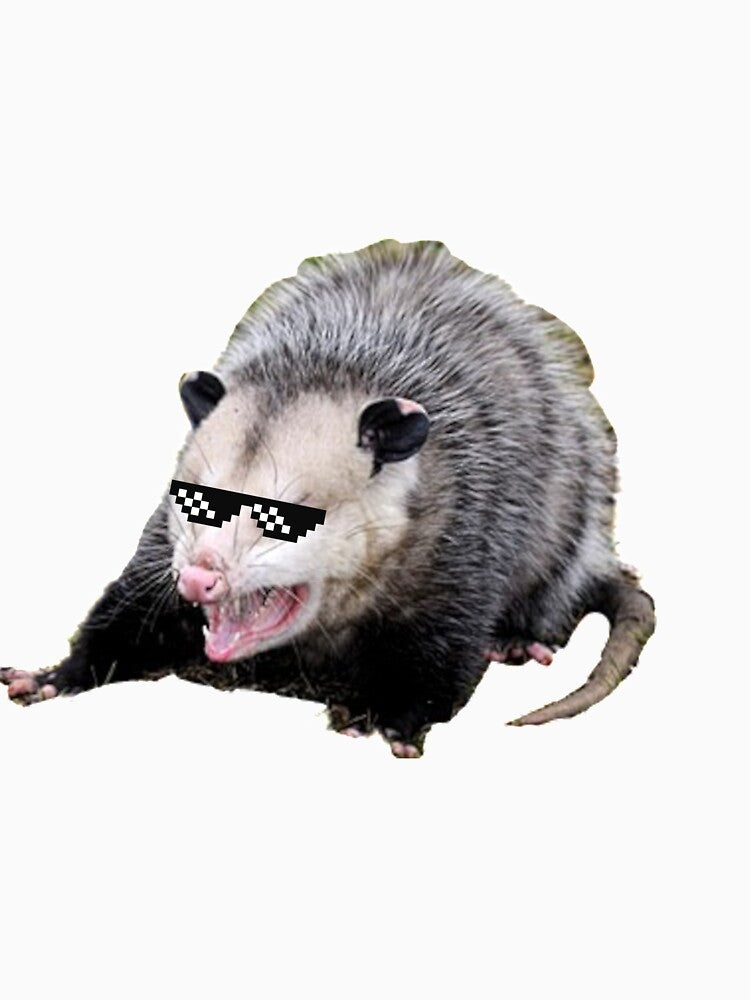 Possum Thug Life by royalblewitup