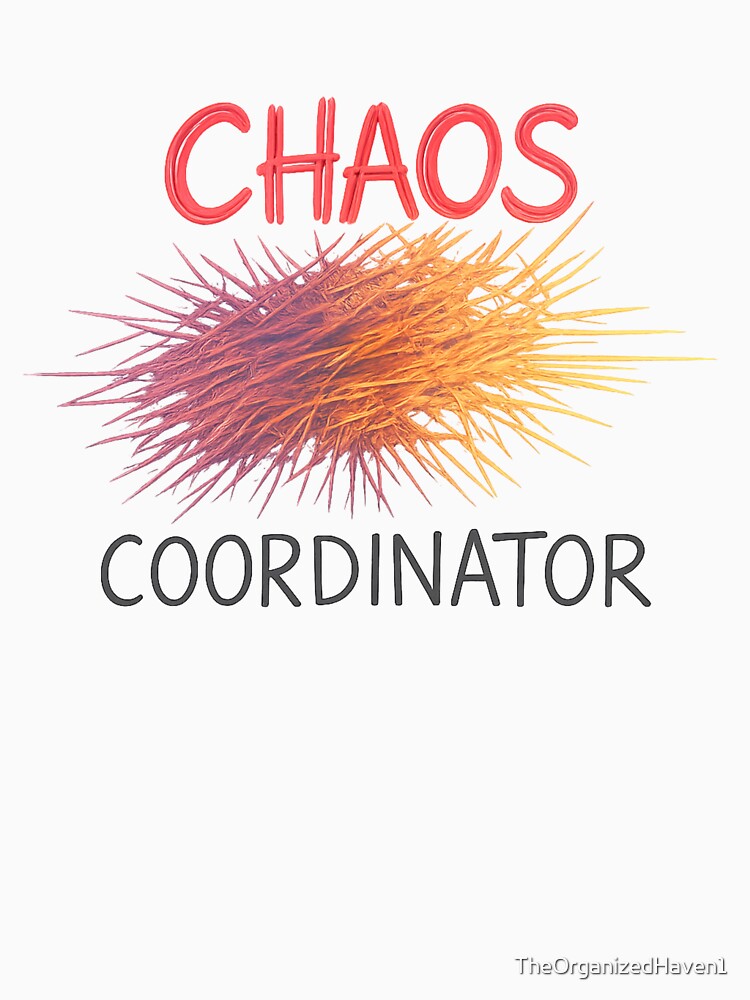Chaos Coordinator Funny Hand Drawn Organization Graphic by TheOrganizedHaven1