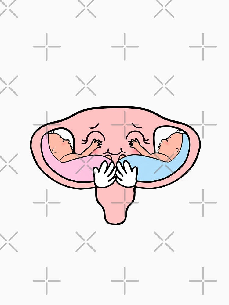 Pregnant uterus with twins by Mermaidssparkle