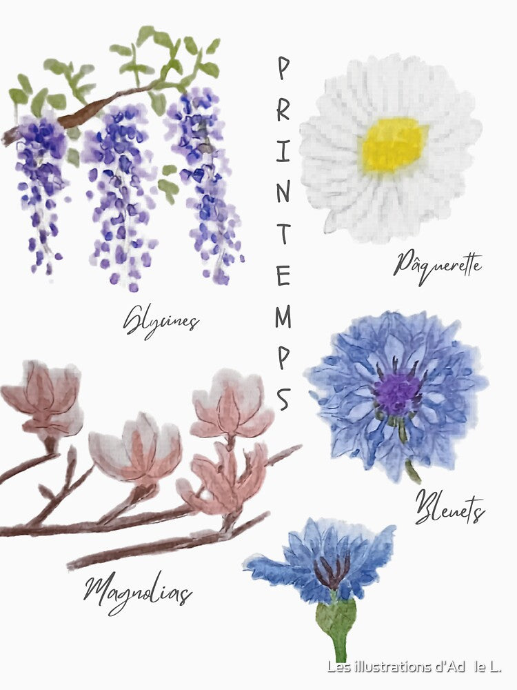 Daisy, wisteria, magnolias and blueberries by Les illustrations d'Adėle L.