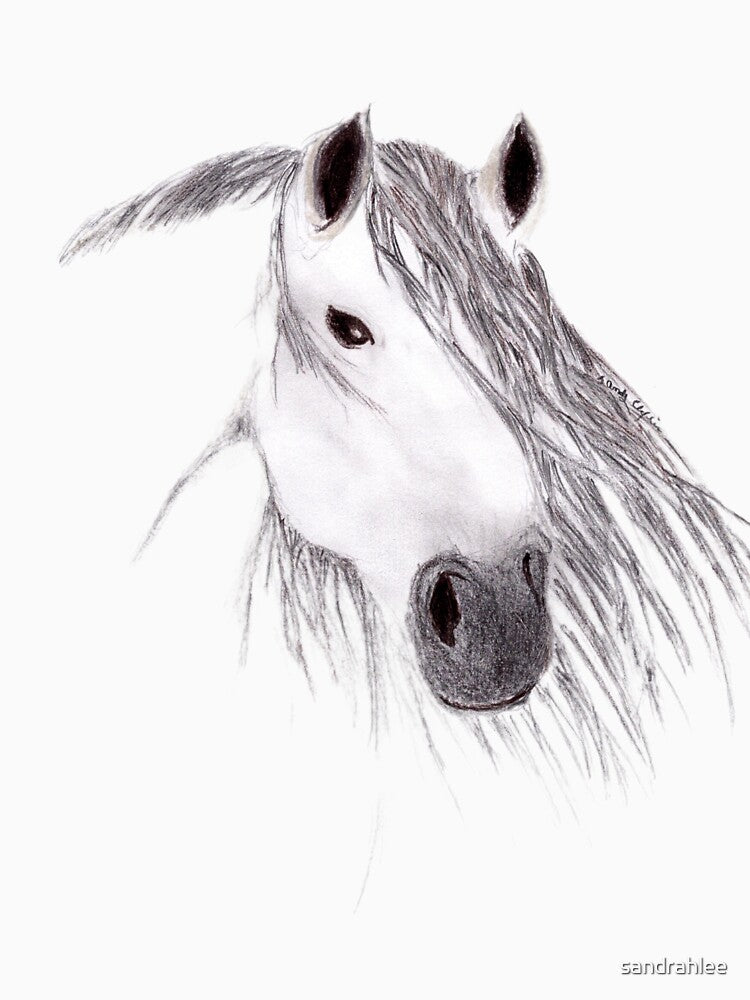 Horse by sandrahlee
