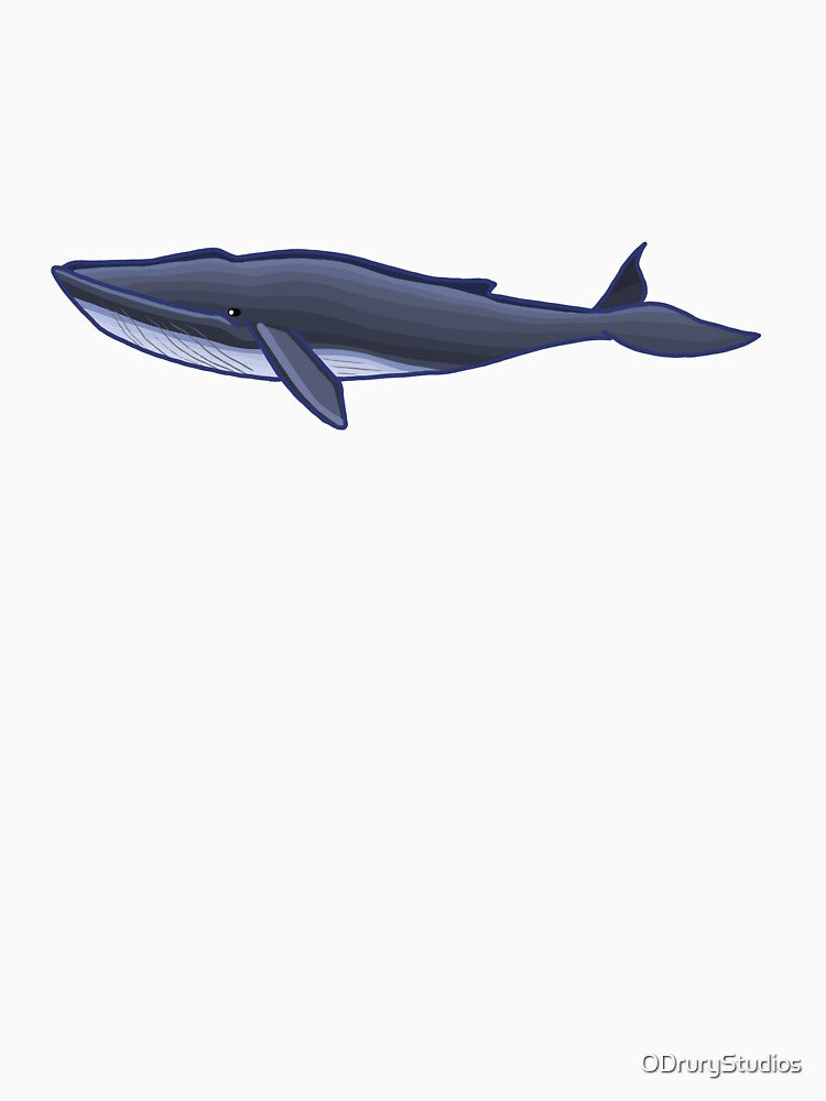 Blue Whale by ODruryStudios