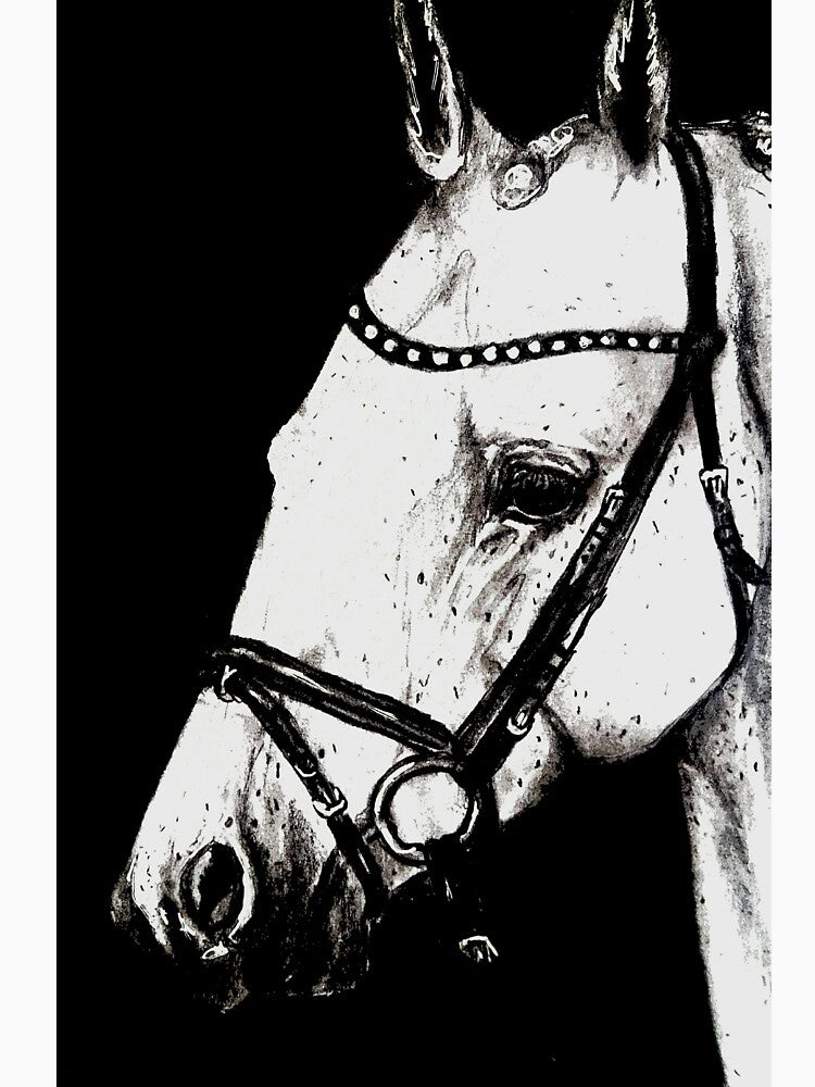 Grey horse portrait charcoal drawing by horseaddicted