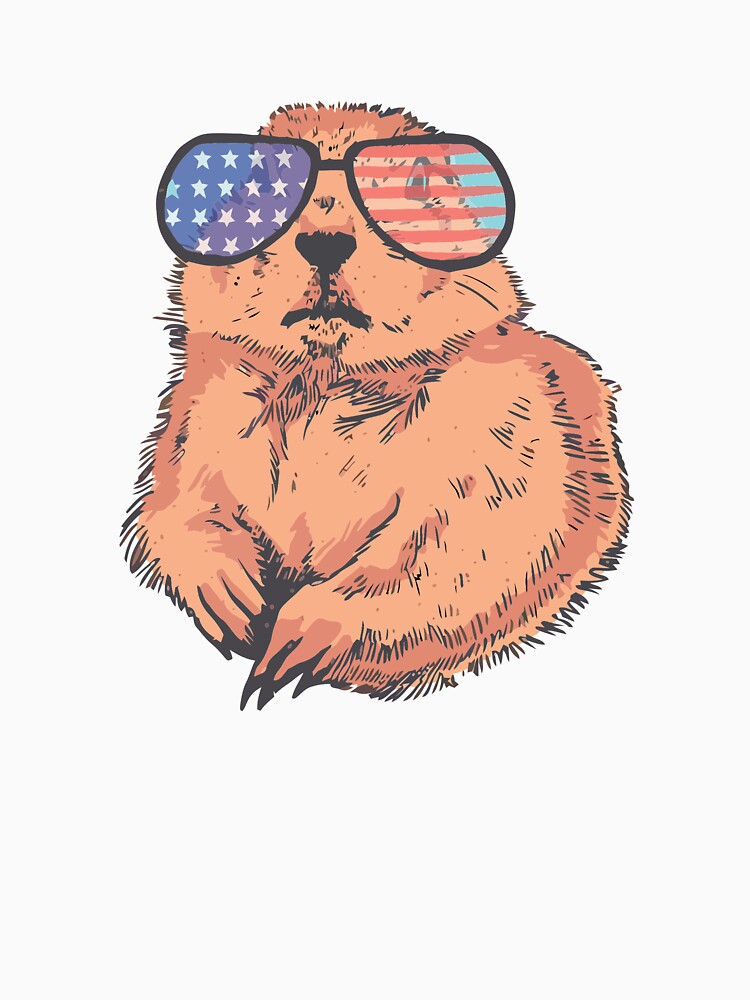 Prairie dog by zaher97