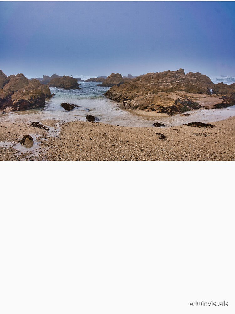 Beach Rocks by edwinvisuals