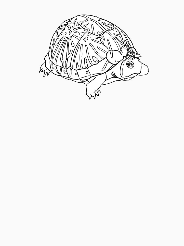Party Turtle by Luke Landwehr
