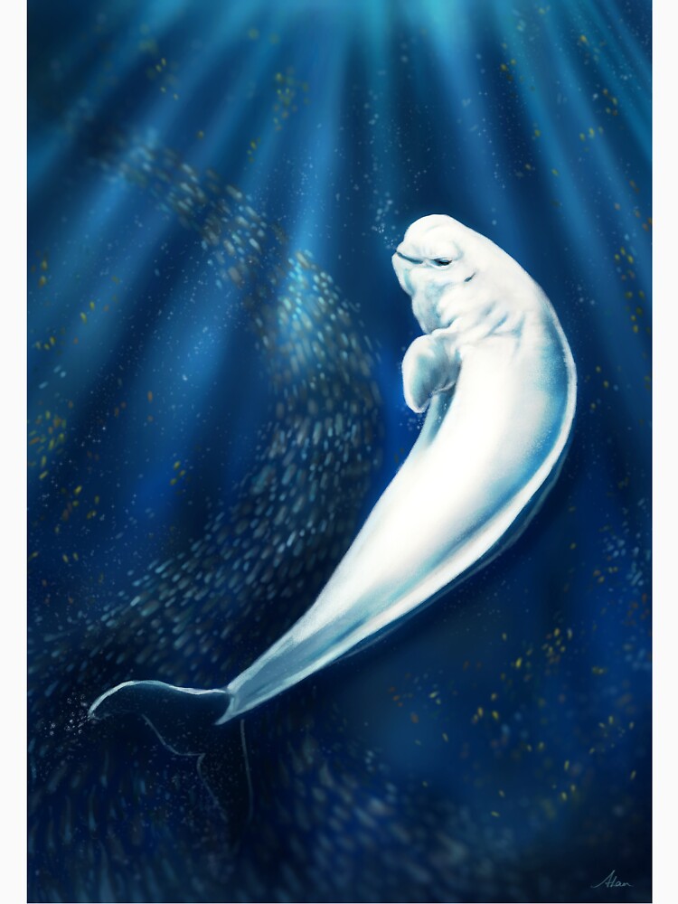 Beluga Whale by alandodrawing