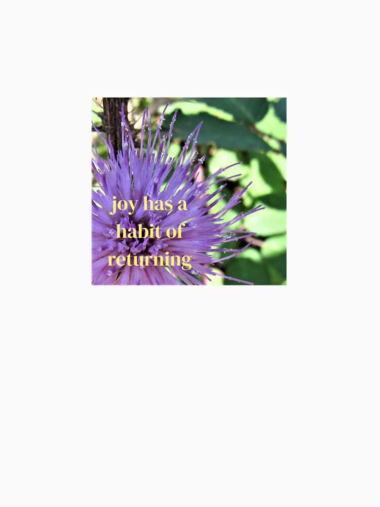 joy has a habit of returning inspirational quote by caeruleas