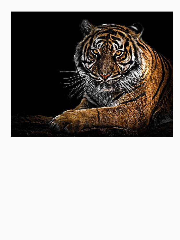 Beautiful Tiger Design by NoxLand