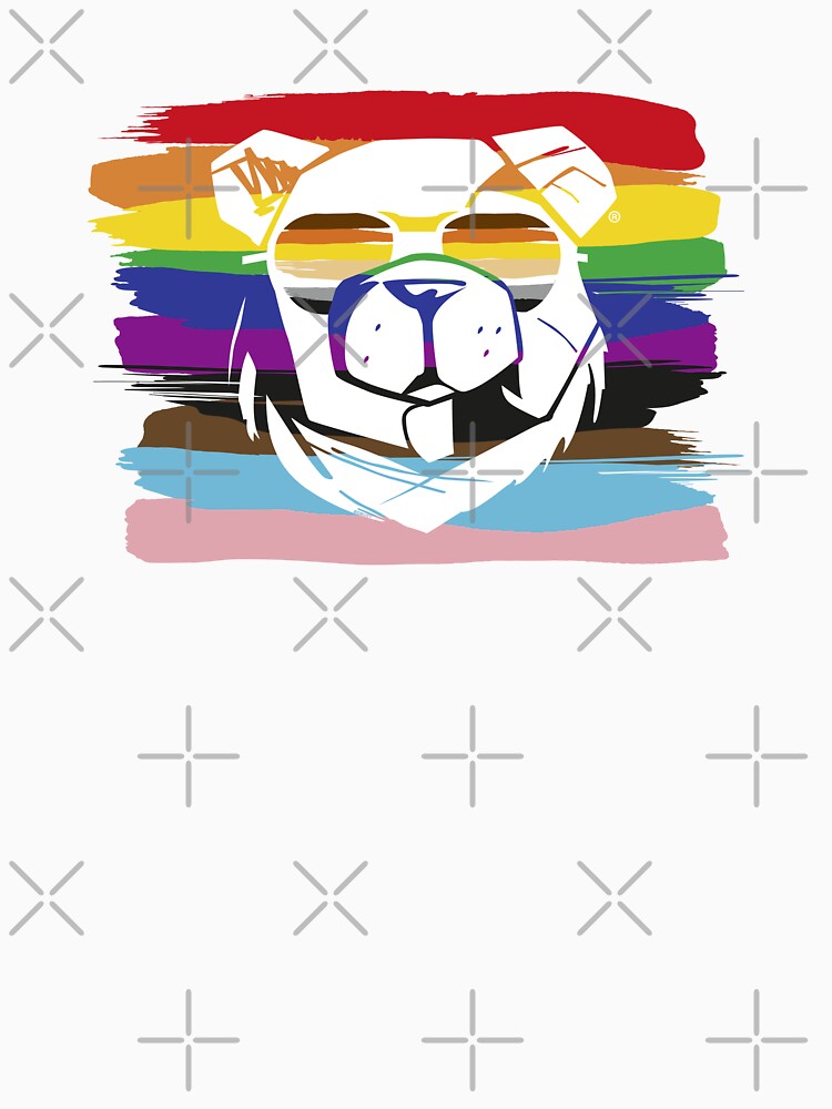 ROBUST BEAR PRIDE FLAG C 22 by Robust