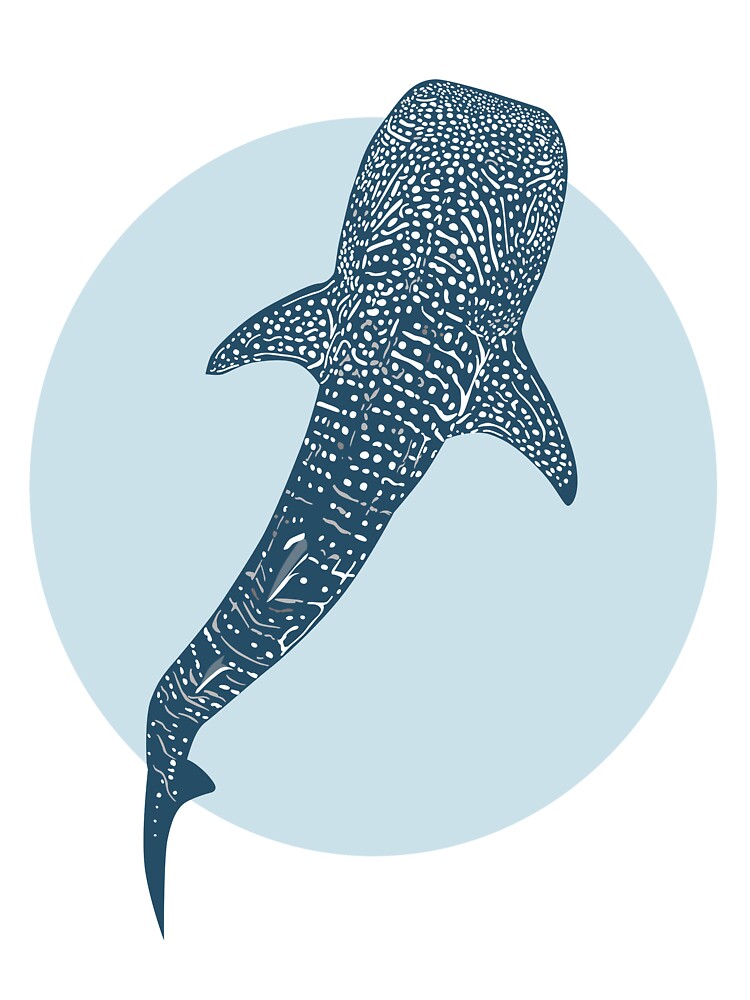 Whale Shark Blue Circle by SeaLarkArt