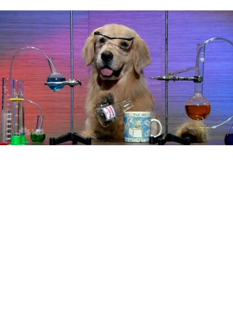 I have no idea what I'm doing dog by Meme Economy