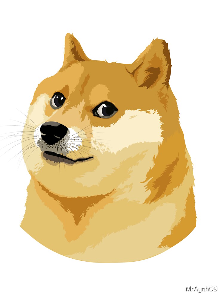 Doge meme - dogecoin by MrAynh09