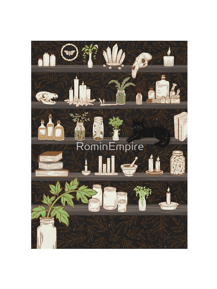 Aesthetic Apothecary Shelves by RominEmpire