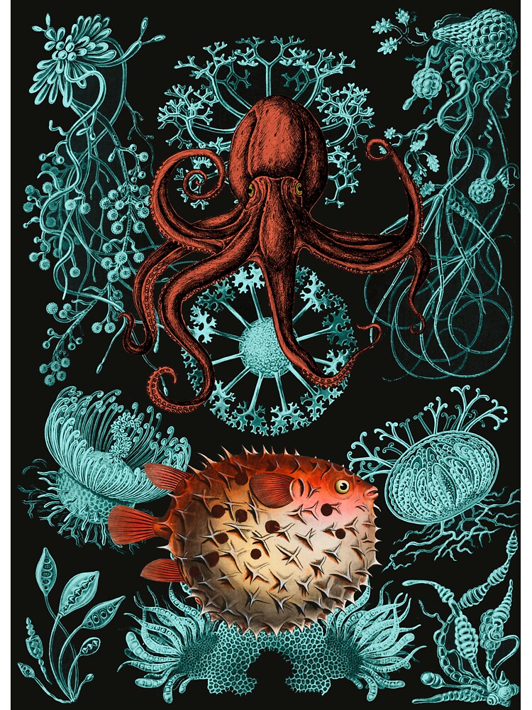 Octopus & Pufferfish by AntiquusForma