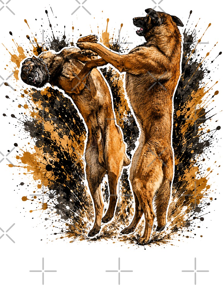 Playmates on four paws – Full of energy, full of fun by Peter Kaul