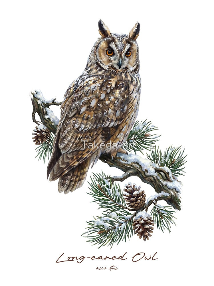 Long-eared Owl on Snowy Pine Tree by Takeda-art
