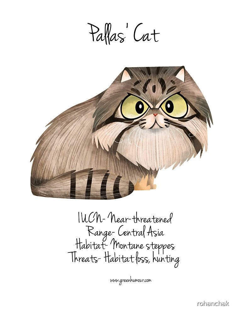 Pallas' Cat by Green Humour