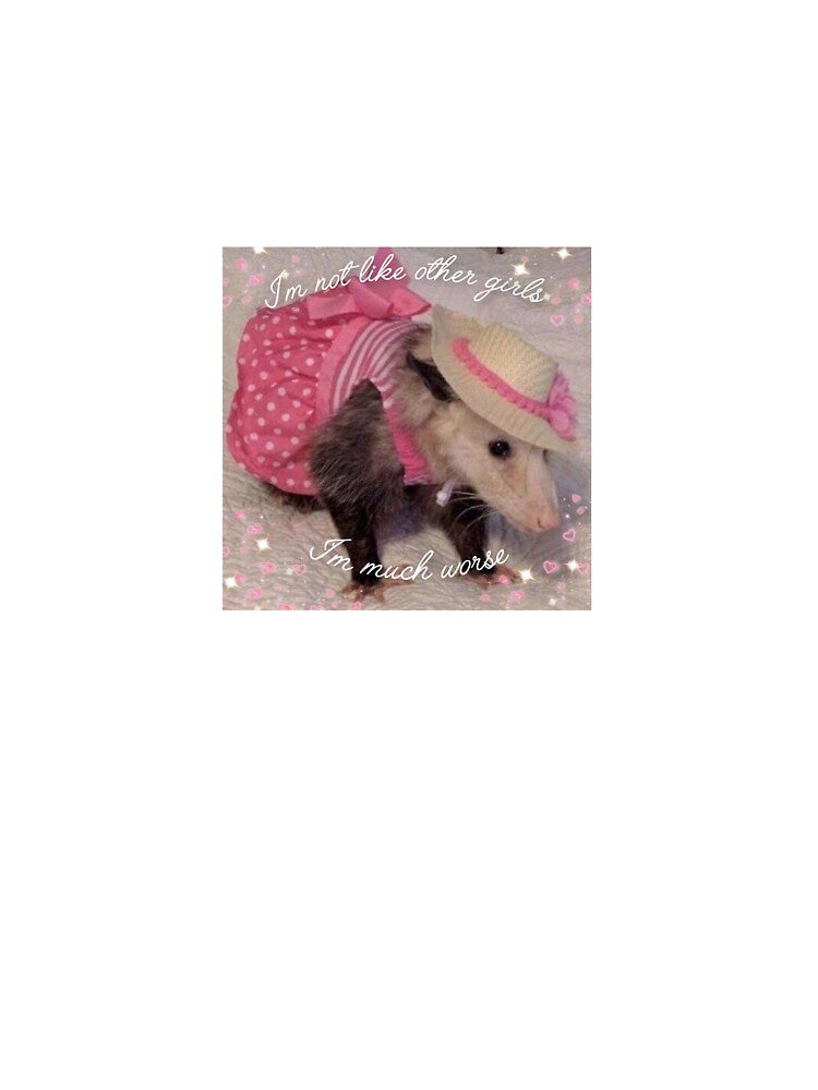 I'm not like other girls - Funny Opossum Meme Print by BlossomPossumPrints