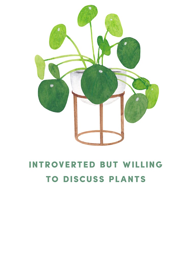 Pilea Peperomioide - Introverted but willing to discuss plants by DearFawnStudio