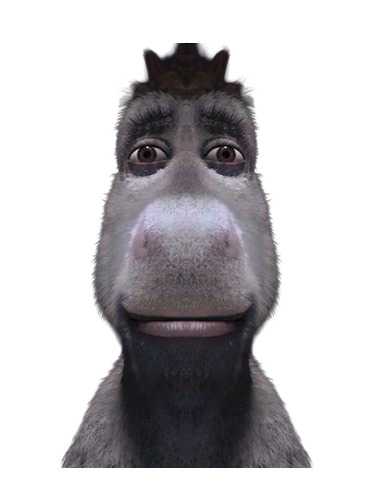 Staring Donkey Meme by FindingLuffy