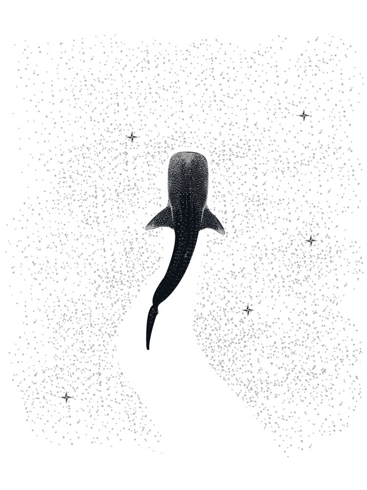 Whale Shark Rhincodon typus Galaxy 1590 by NouveauUShh