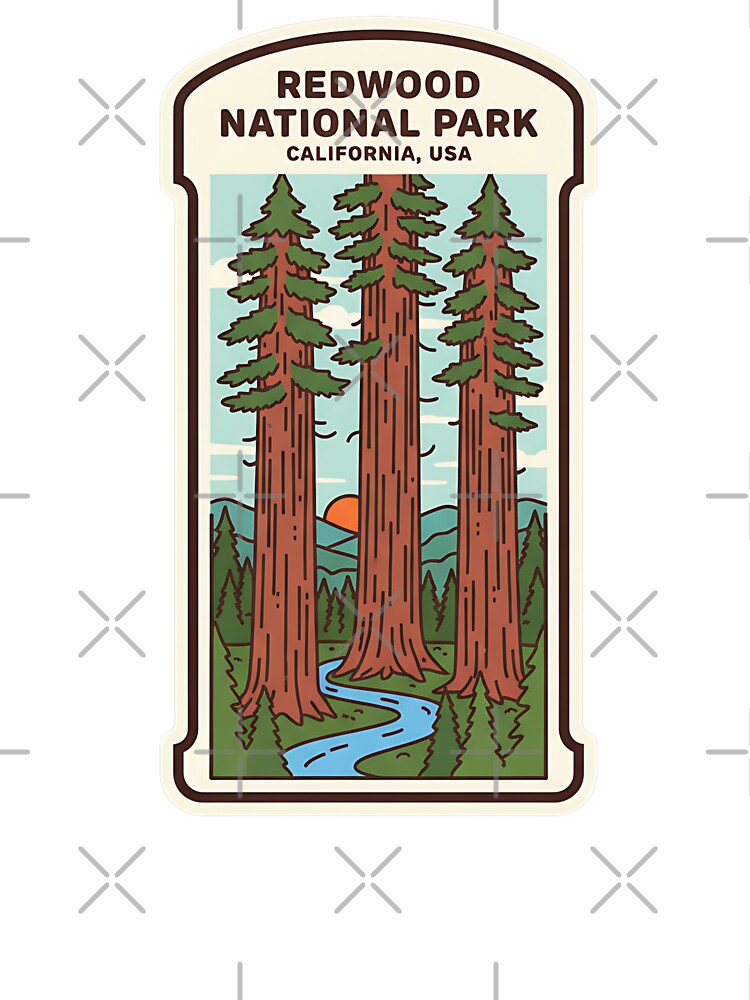 Redwood National Park Modern Illustration  Giant Trees of Northern California by LittleArij