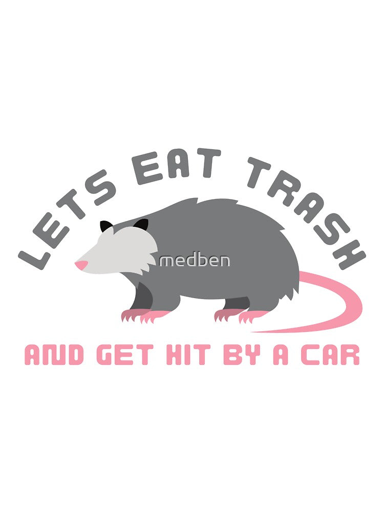Let's Eat Trash Get Hit By A Car, Funny Possum by medben