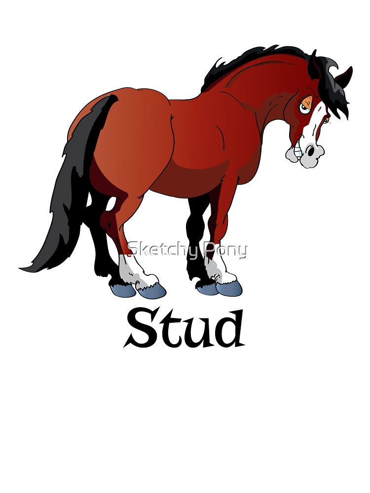 Stud - Cartoon Horse by Sketchy Pony