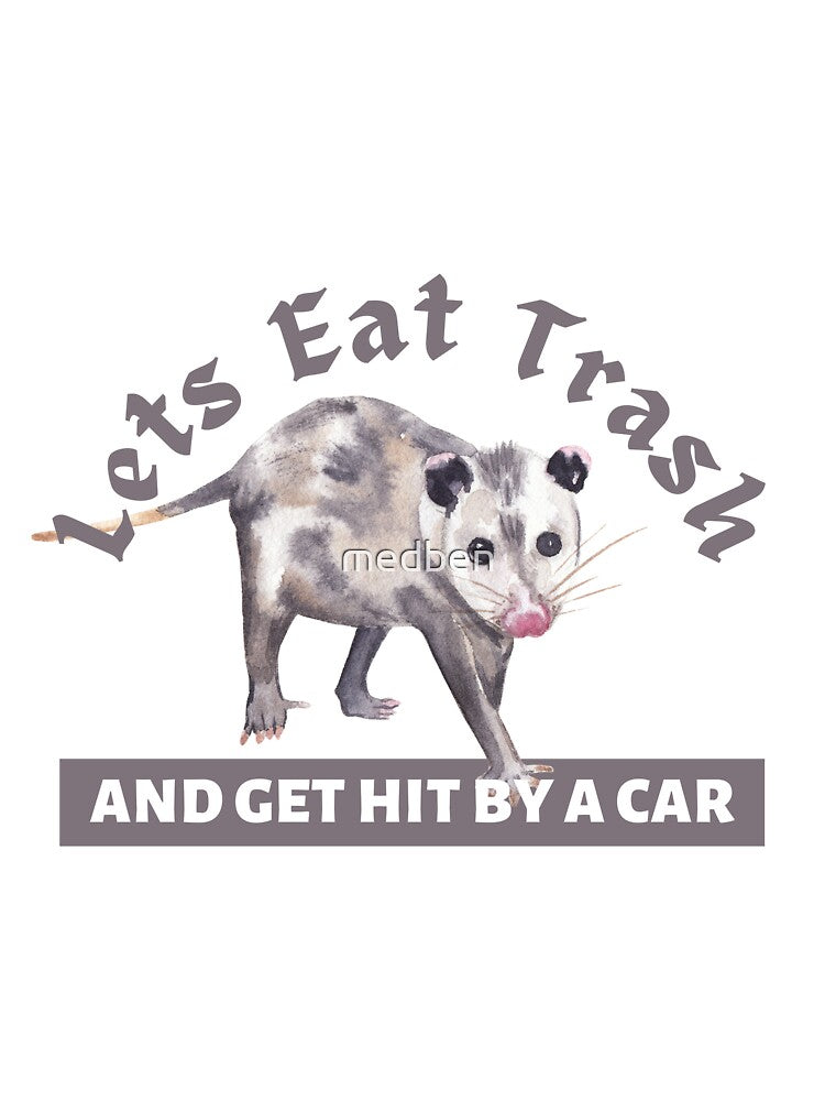 Let's Eat Trash Get Hit By A Car, Funny by medben