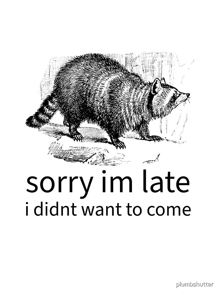 sorry I'm late I didn't want to come raccoon meme funny by plumbshutter