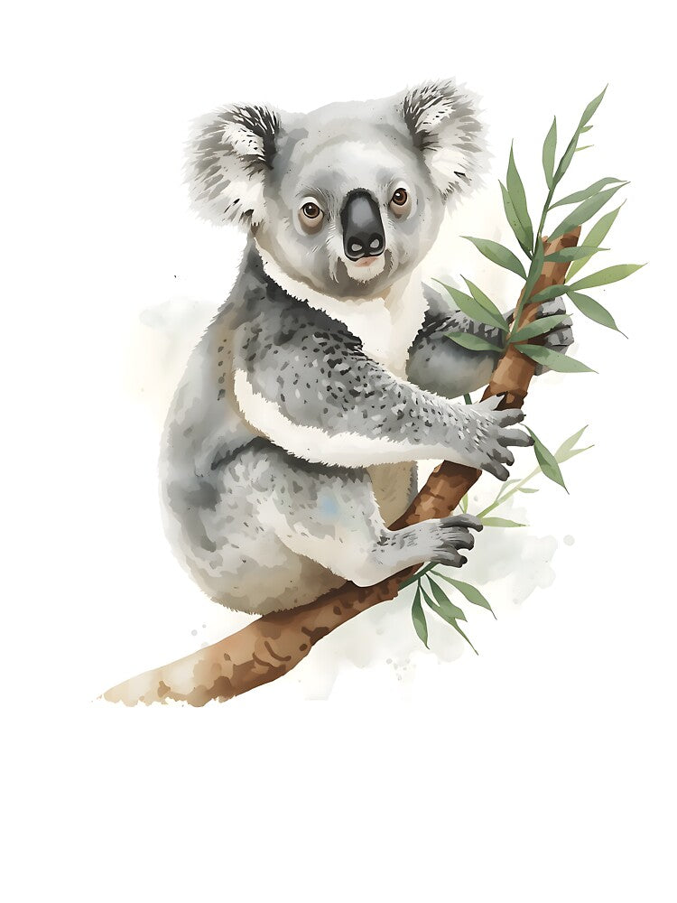 Koala Watercolor Painting by RawNaturePrints