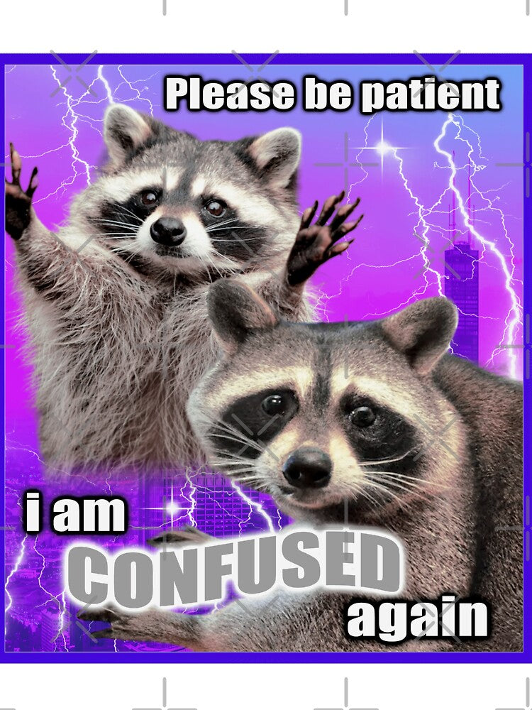 Please Be Patient I Am Confused Again Raccoon by SoulmateArtK