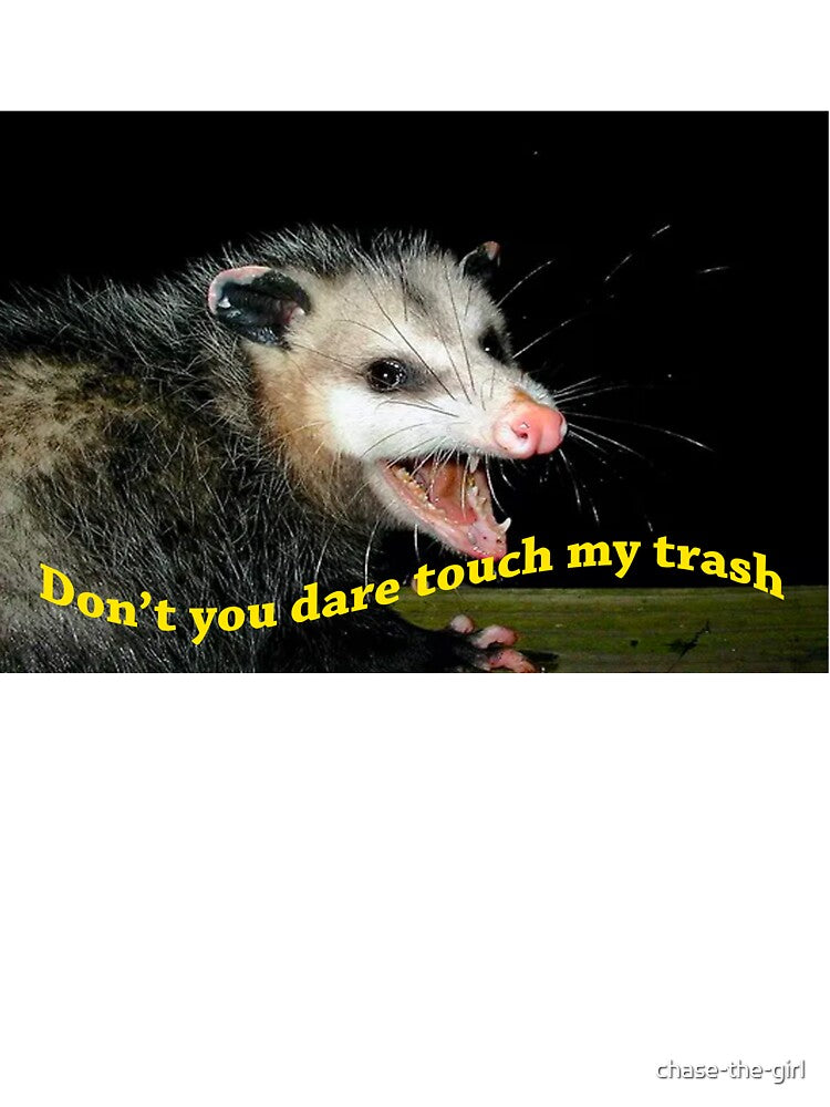 Don't touch my trash opossum meme by chase-the-girl