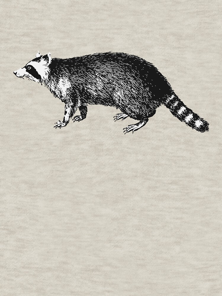 Vintage Raccoon by Wild-Co